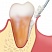 OsteoBiol® Gen-Os