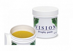 VISION PROPHY PASTE ®