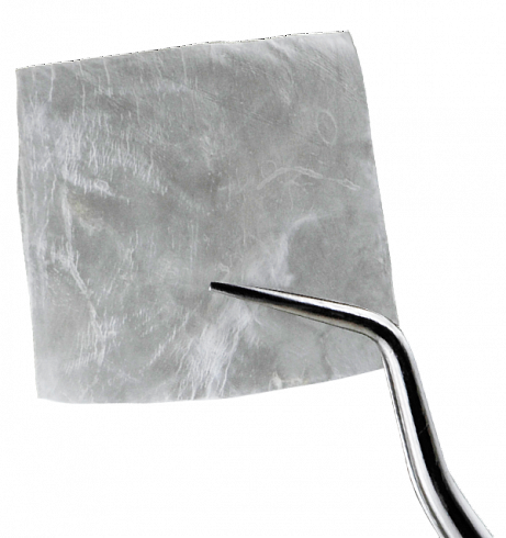 OsteoBiol®  Special